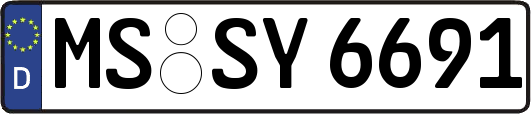 MS-SY6691