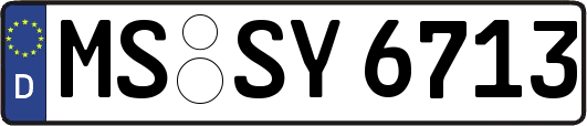 MS-SY6713