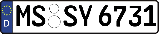 MS-SY6731