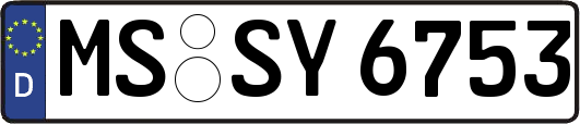 MS-SY6753