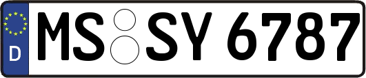 MS-SY6787