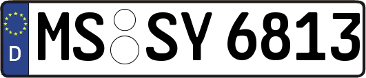 MS-SY6813