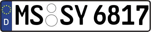 MS-SY6817