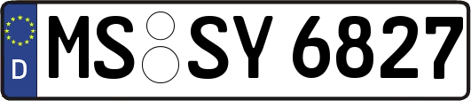 MS-SY6827