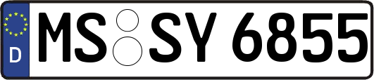 MS-SY6855
