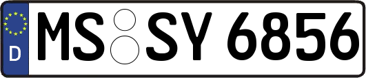MS-SY6856