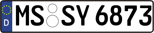 MS-SY6873