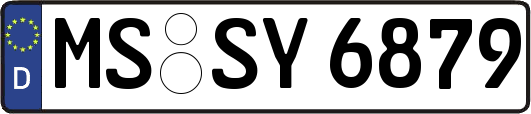 MS-SY6879