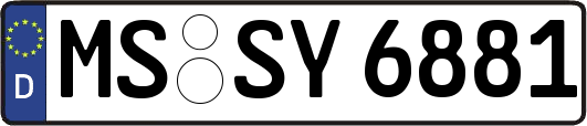 MS-SY6881