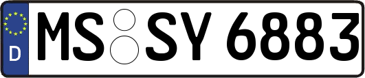 MS-SY6883