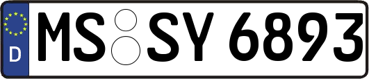 MS-SY6893