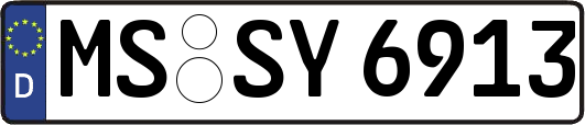 MS-SY6913