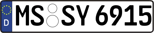 MS-SY6915