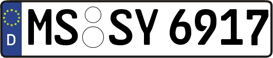 MS-SY6917