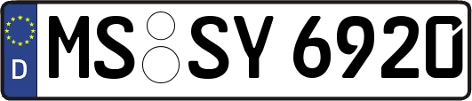 MS-SY6920