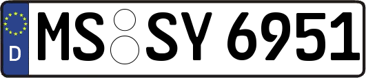 MS-SY6951
