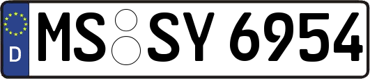MS-SY6954
