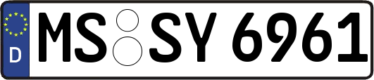MS-SY6961