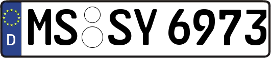 MS-SY6973