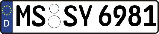 MS-SY6981