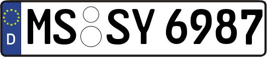 MS-SY6987
