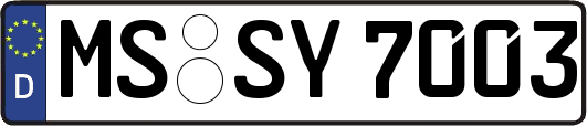 MS-SY7003