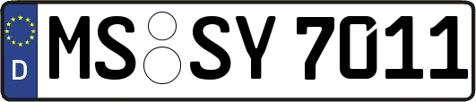 MS-SY7011