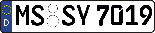 MS-SY7019