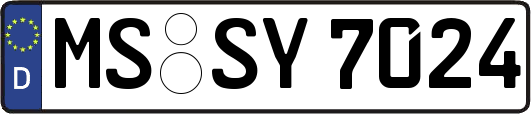 MS-SY7024