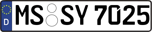 MS-SY7025