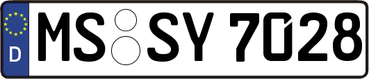 MS-SY7028