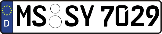 MS-SY7029