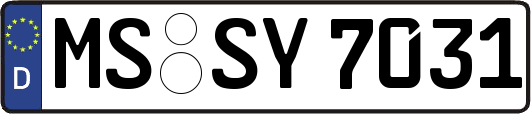 MS-SY7031