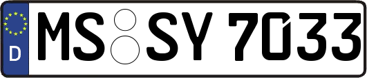 MS-SY7033