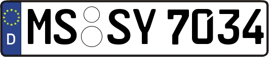 MS-SY7034