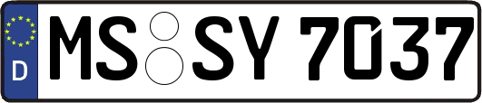 MS-SY7037