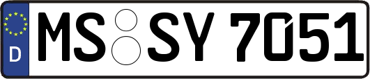 MS-SY7051
