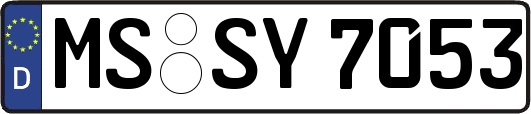 MS-SY7053
