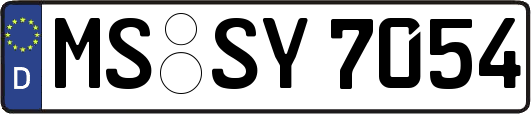 MS-SY7054