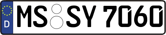 MS-SY7060