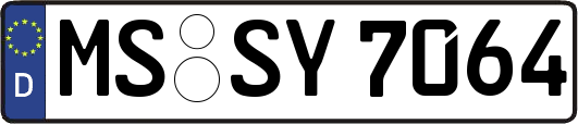 MS-SY7064