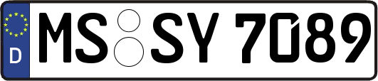 MS-SY7089