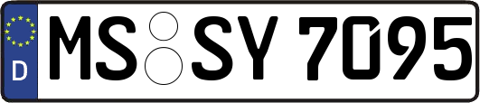 MS-SY7095