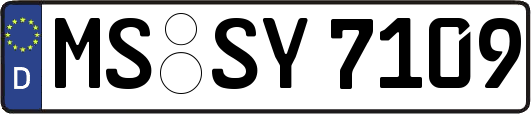 MS-SY7109