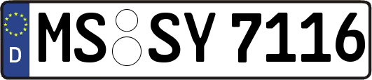 MS-SY7116