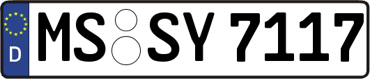 MS-SY7117
