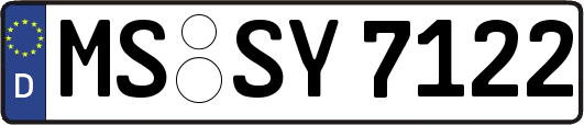 MS-SY7122