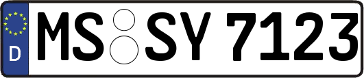 MS-SY7123