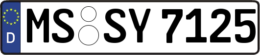 MS-SY7125