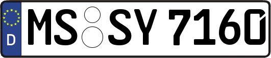 MS-SY7160